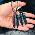 Earring Cicada Oversized Hoop Style