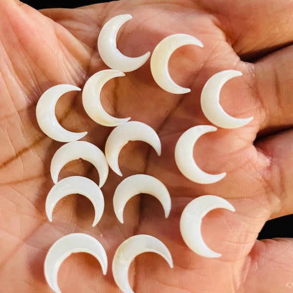 5 piece Natural Shell Moon Beads