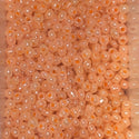 1 Pound Bags Seed Beads