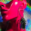 Earring Cicada Oversized Hoop Style