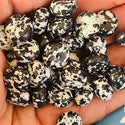 10 Pack Panda Rondelle Turq inspired stone beads